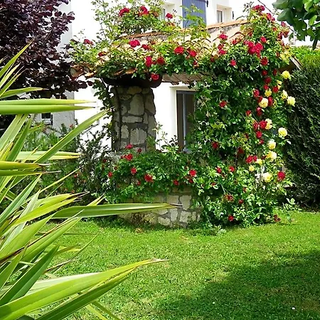 Chevrefeuille Et Eglantine