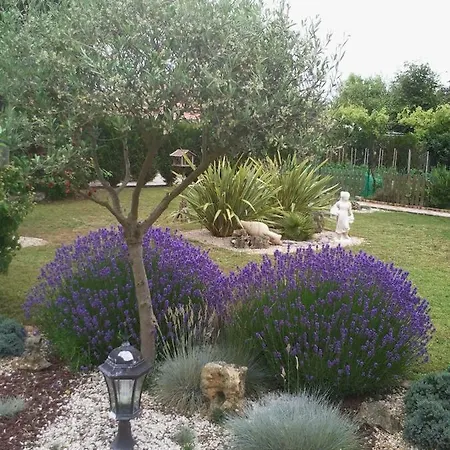 Chevrefeuille Et Eglantine 3* L'Ile-d'Olonne