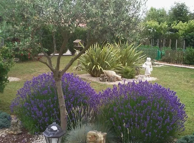 Chevrefeuille Et Eglantine 3* L'Ile-d'Olonne