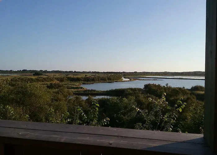 Chevrefeuille Et Eglantine L'Ile-d'Olonne